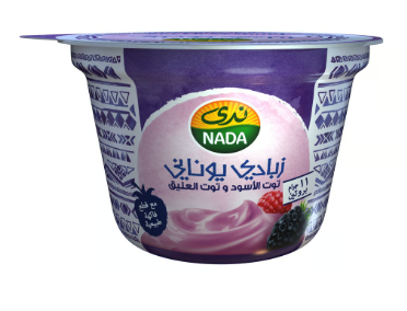 ندى زبادي يوناني التوت الاسود وتوت العليق  160جم 
