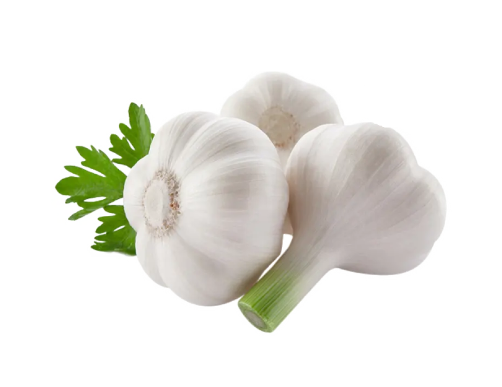 FrSky Taranis (Int'l Version) Q X7 ACCESS Digital Telemetry Transmitter W/R9M Module (White)