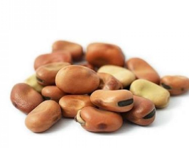 فول مصري كيس١ كيلو